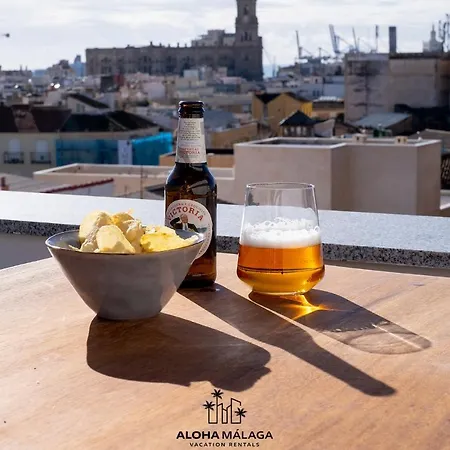 Luxury Duplex With Pool And Padel Court In Town * Málaga