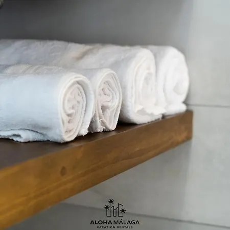 Luxury Duplex With Pool And Padel Court In Town Apartment Malaga