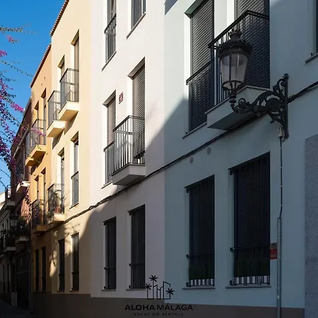 Luxury Duplex With Pool And Padel Court In Town Apartment