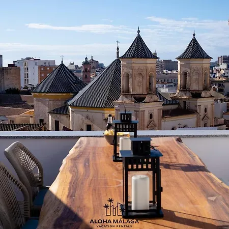 Apartment Luxury Duplex With Pool And Padel Court In Town