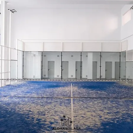 Apartment Luxury Duplex With Pool And Padel Court In Town