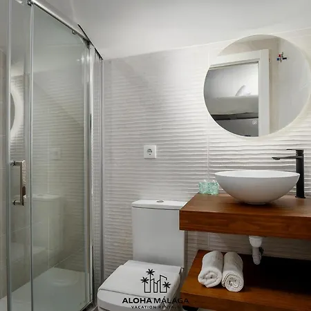 Apartment Luxury Duplex With Pool And Padel Court In Town Malaga